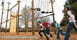 High ropes & small assault course 's
